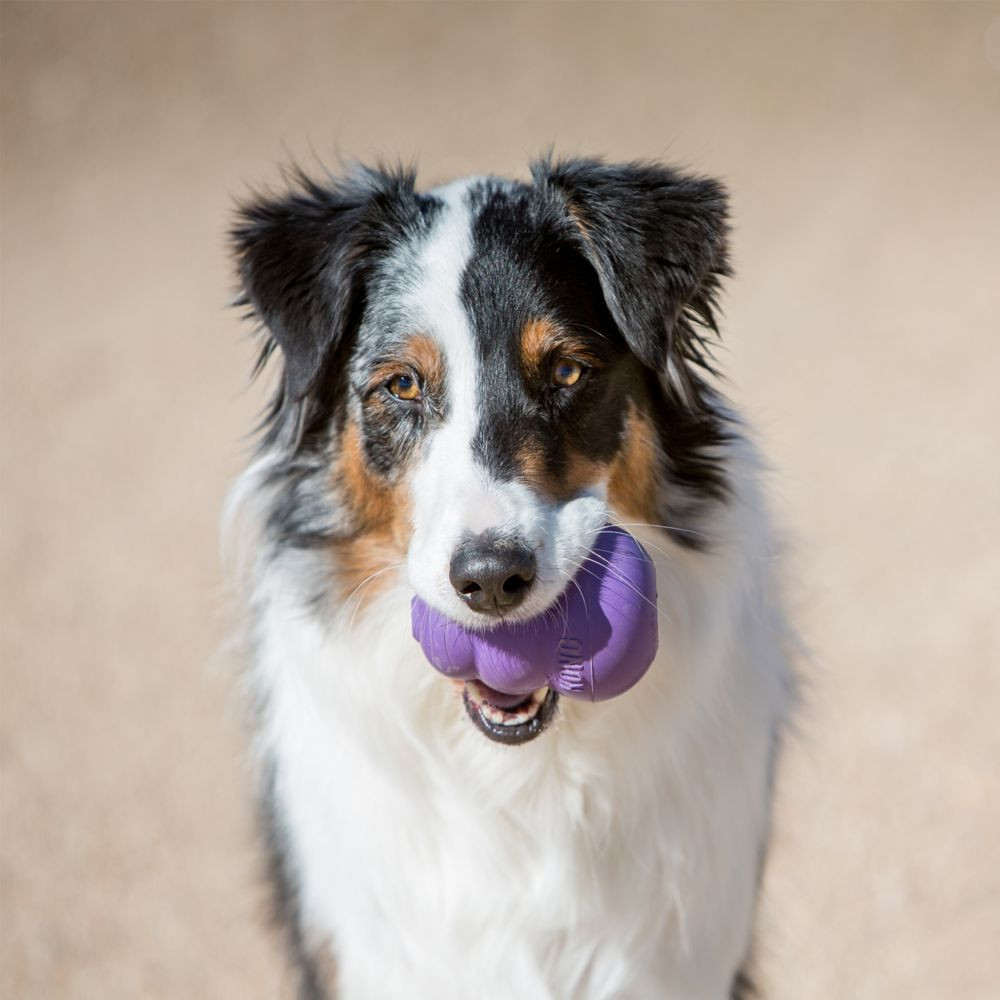 Foto 5 | Juguete para Perro Kong Senior color Morado Tamaño Chico