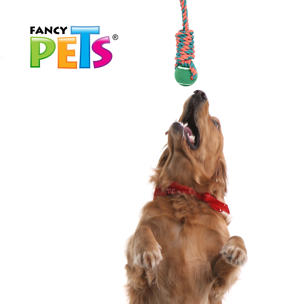 Foto 4 pulgar | Juguete de Soga con Pelota Fancy Pets para Perro