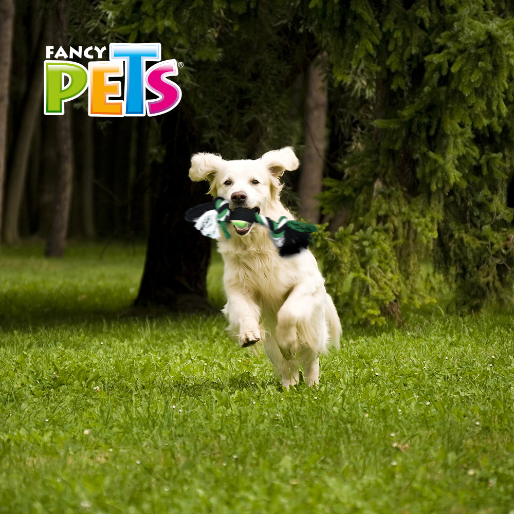 Foto 2 | Juguete Hueso para Perro Fancy Pets FL7274 con Pelota