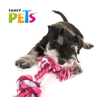 Foto 2 | Juguete Mordedor FANCY PETS FL7255 Hueso de Hilo para Perro