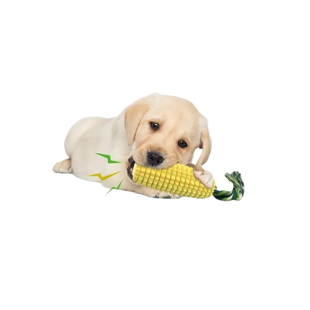 Foto 4 | Juguete Limpia Dientes BELUG color Amarillo para Perro con Jaladera Cuerda con Elote