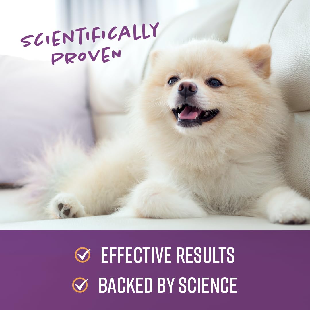 Foto 5 | Spray Corrector De Comportamiento Sentry Pet Care ¡deja De Hacer Eso! ¿perros - Venta Internacional.