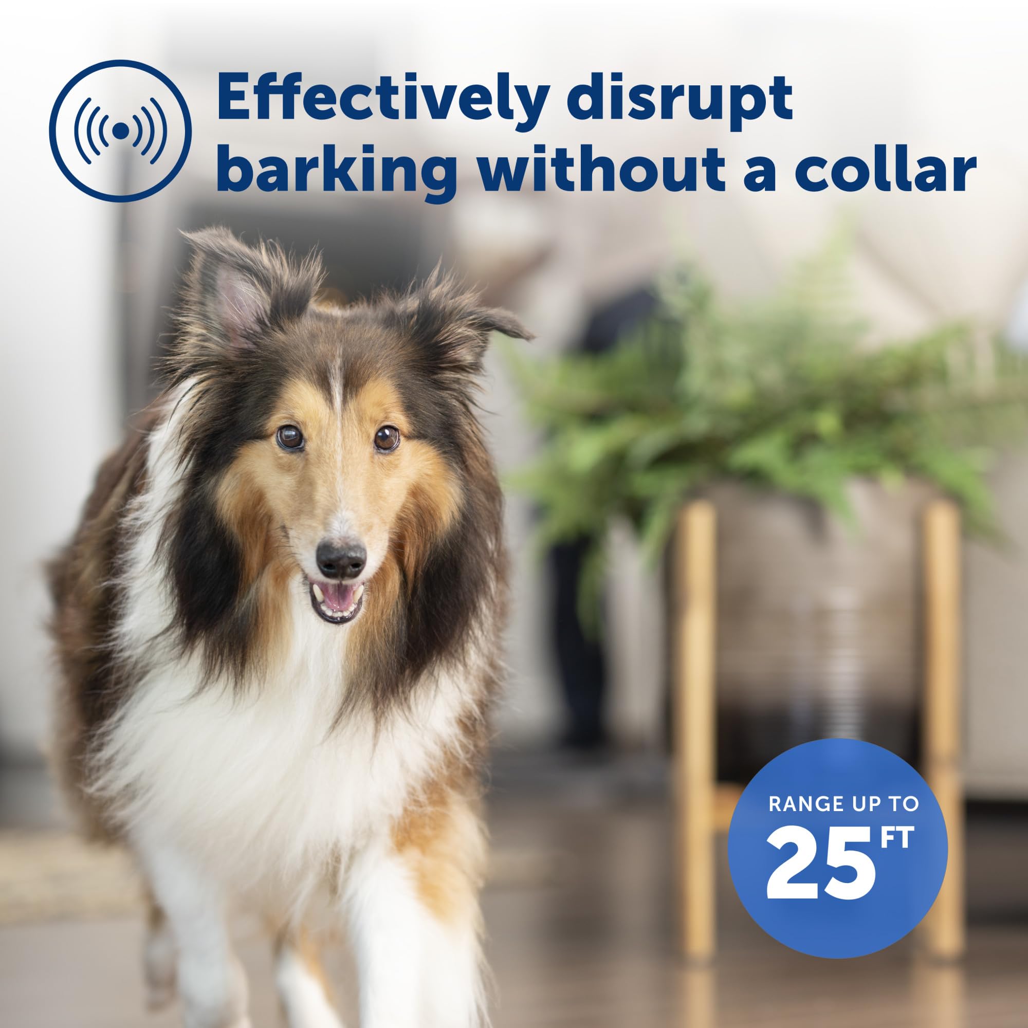 Foto 3 | Dispositivo De Control De Ladridos Petsafe Indoor Ultrasonic Para Perros - Venta Internacional.