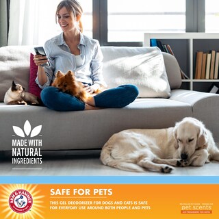 Foto 3 | Desodorizador De Habitación Con Brazo Y Martillo Para Mascotas Fresh Breeze - Venta Internacional.