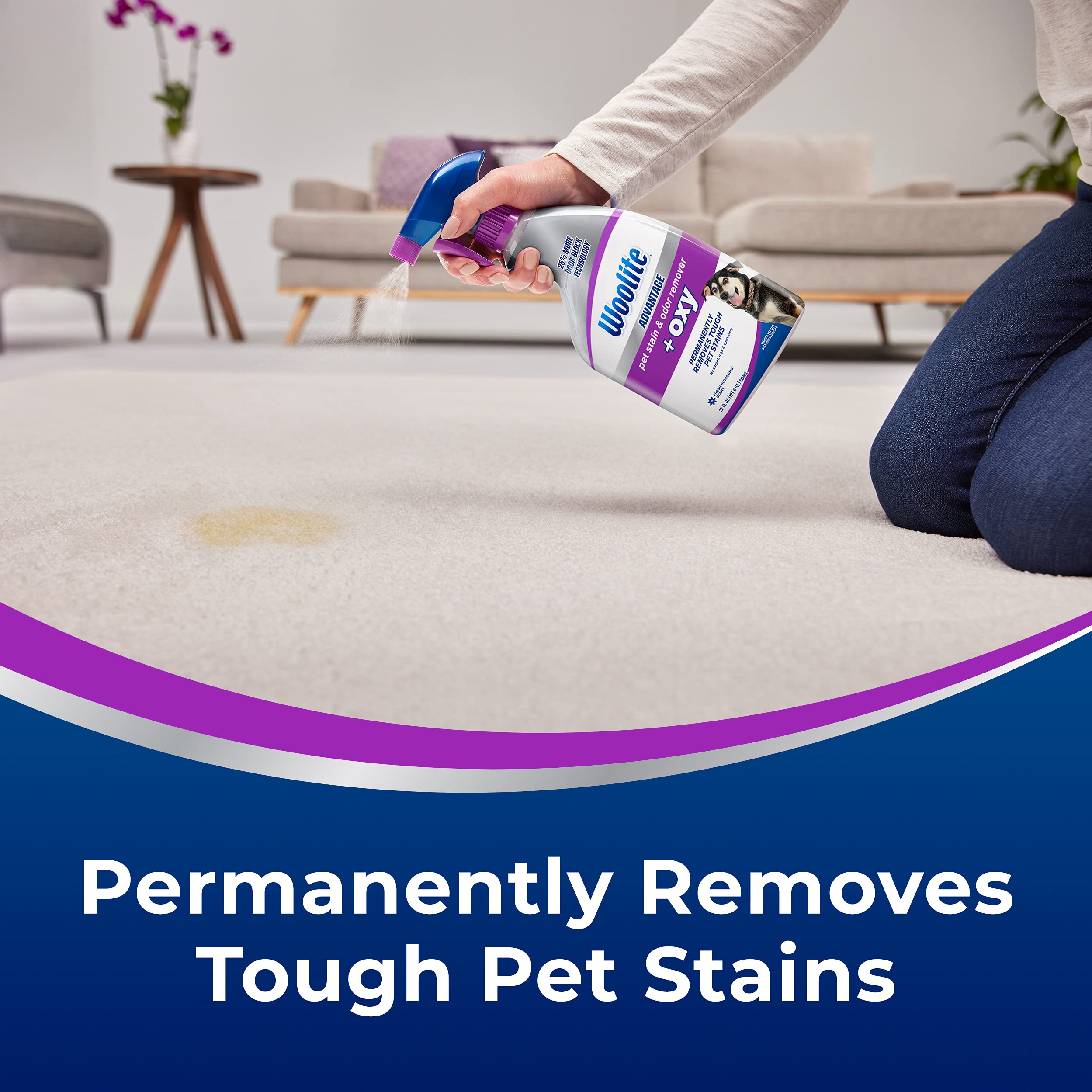 Foto 4 pulgar | Eliminador De Manchas Y Olores Woolite Advantage Pet Oxy, Paquete De 2 - Venta Internacional.