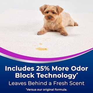 Foto 4 | Eliminador De Manchas Y Olores Woolite Advantage Pet Oxy, Paquete De 2 - Venta Internacional.