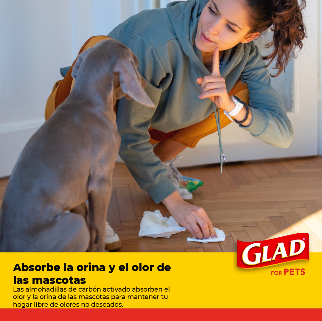 Foto 4 | Tapete Entrenador para Perro Glad 5 Capas a Prueba de Fuga 100 Piezas