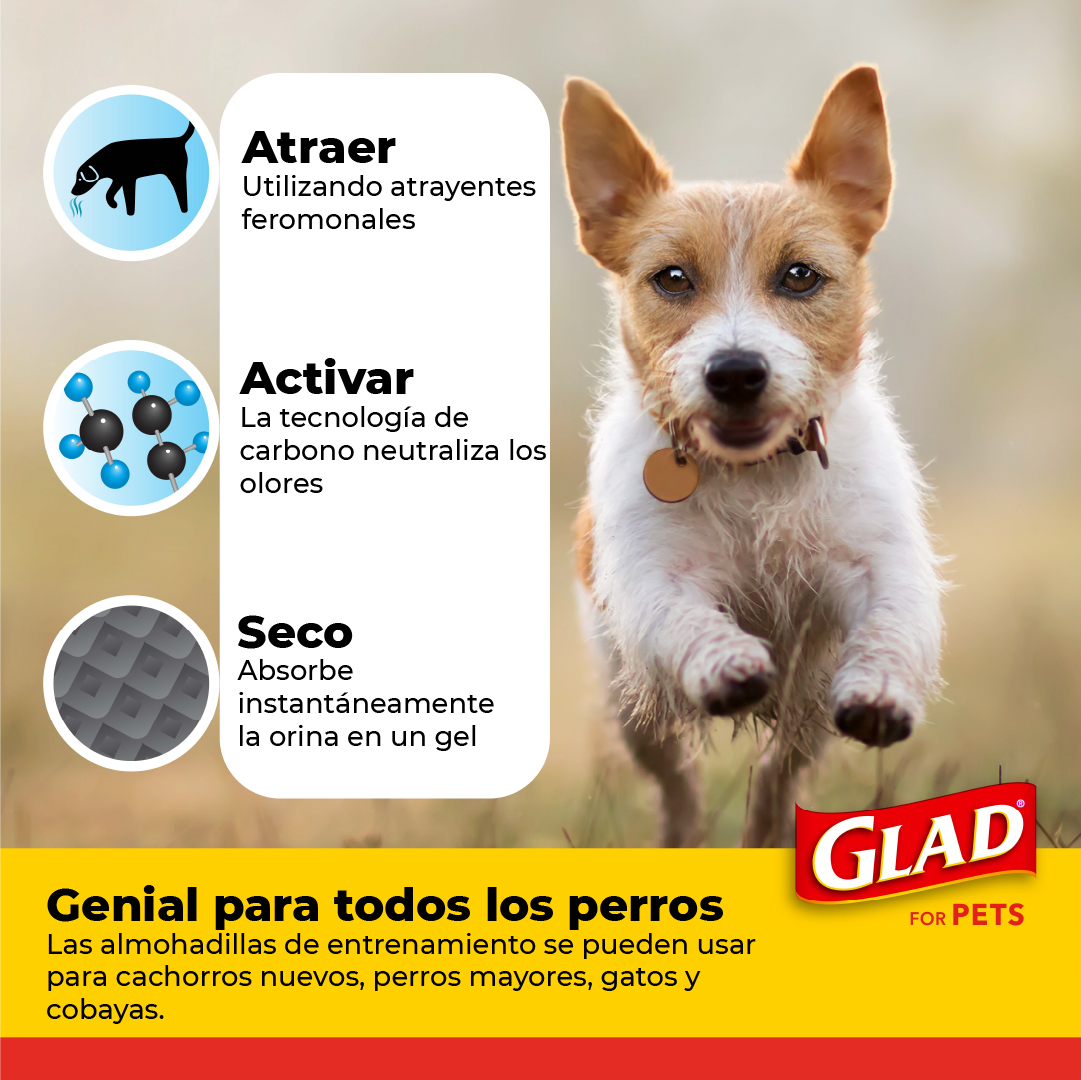 Foto 5 | Tapete Entrenador para Perro Glad 5 Capas a Prueba de Fuga 100 Piezas