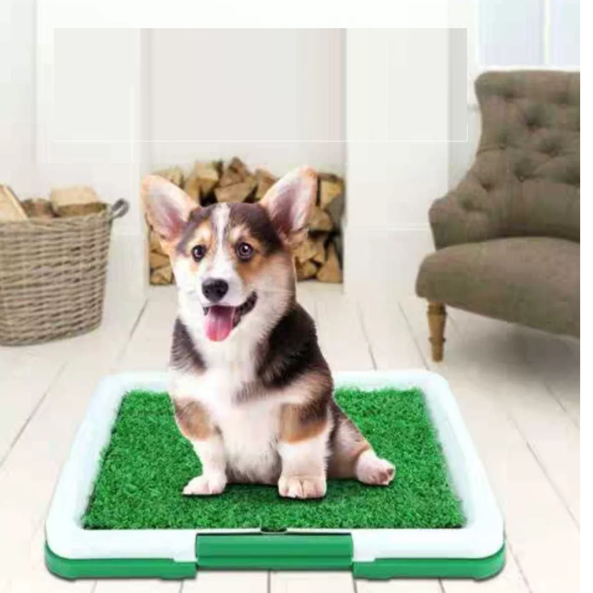 Foto 2 | Tapete Entrenador para Perro Eo Safe Imports Esi-8842 Verde