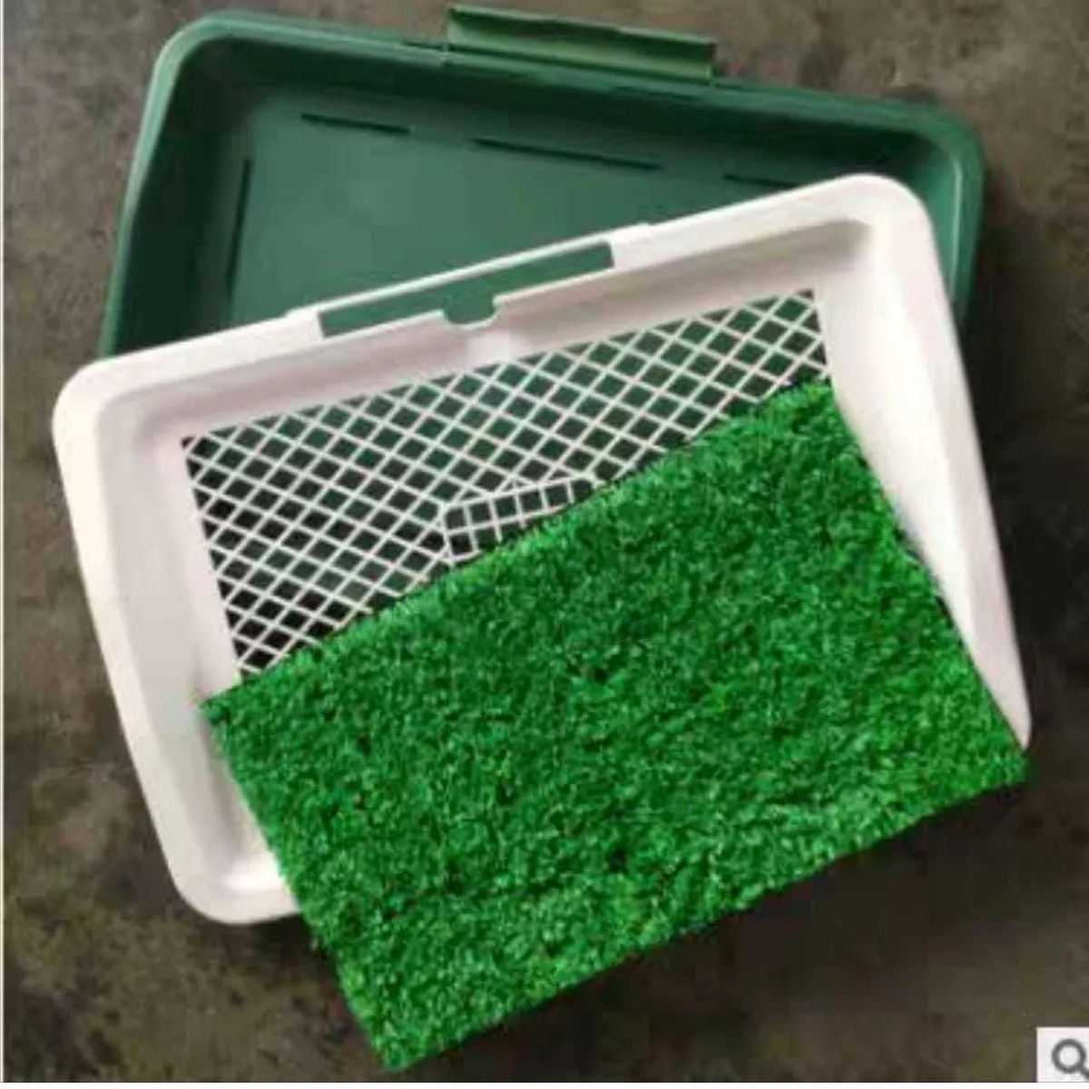 Foto 5 pulgar | Tapete Entrenador para Perro Eo Safe Imports Esi-8842 Verde