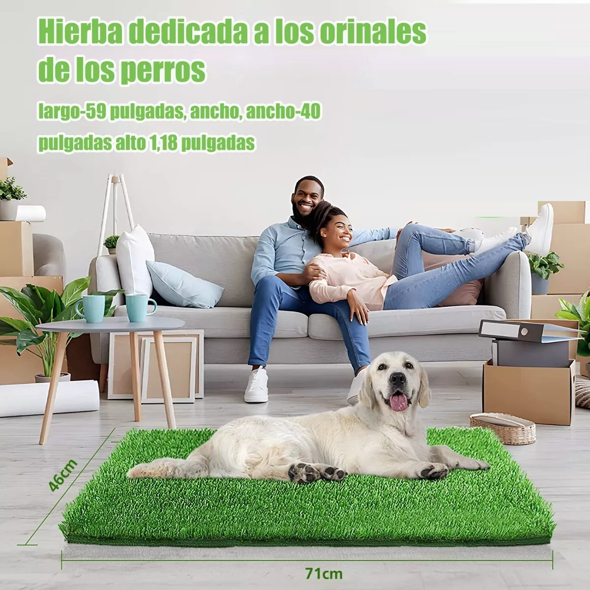 Foto 5 pulgar | Tapete Entrenador para Perro 46 x 71 cm Eo Safe Imports Esi-8843 Verde