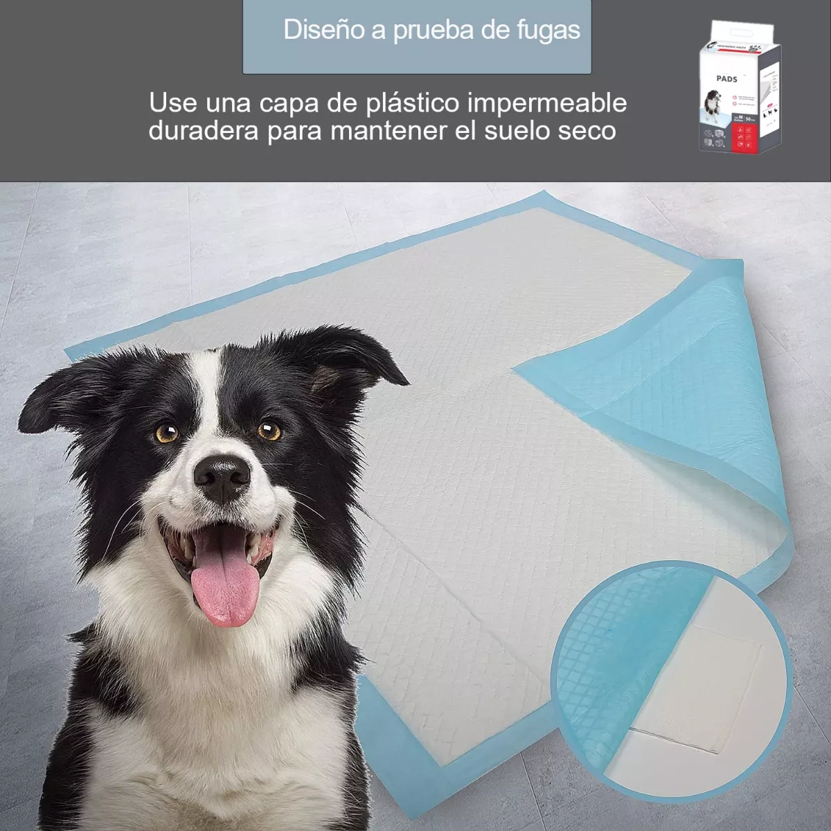 Foto 3 pulgar | Paquete Tapetes Entrenadores Para Perros Gatos Mascotas 50 Pzas. Eo Safe Imports Esi-9827 Multicolor