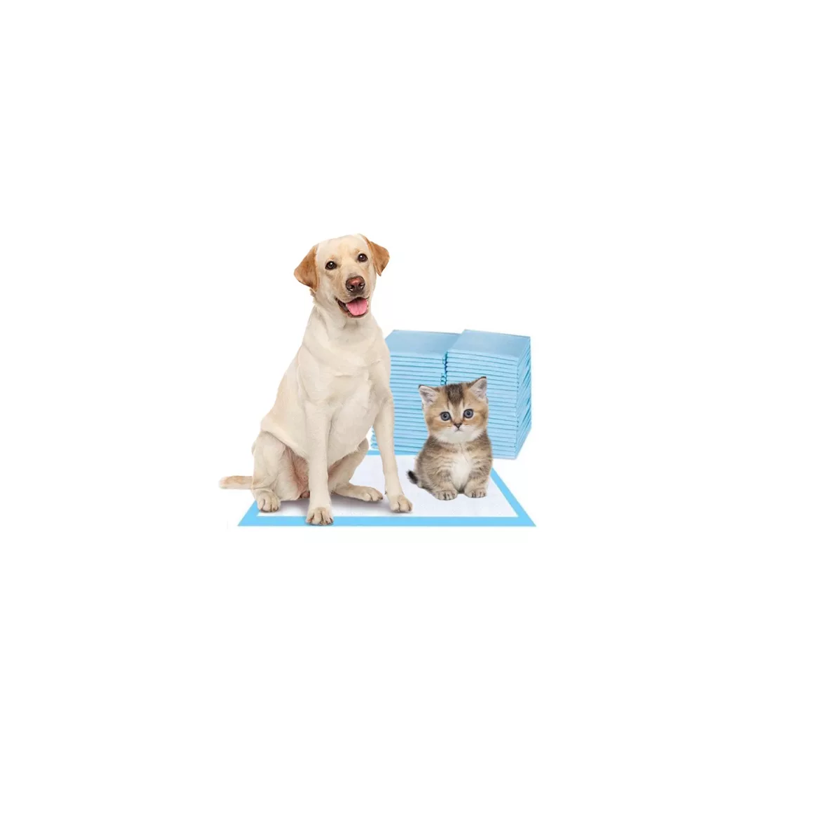Paquete 100 Tapete Entrenador Absorbente Mascota Eo Safe Imports Esi-11547 Multicolor