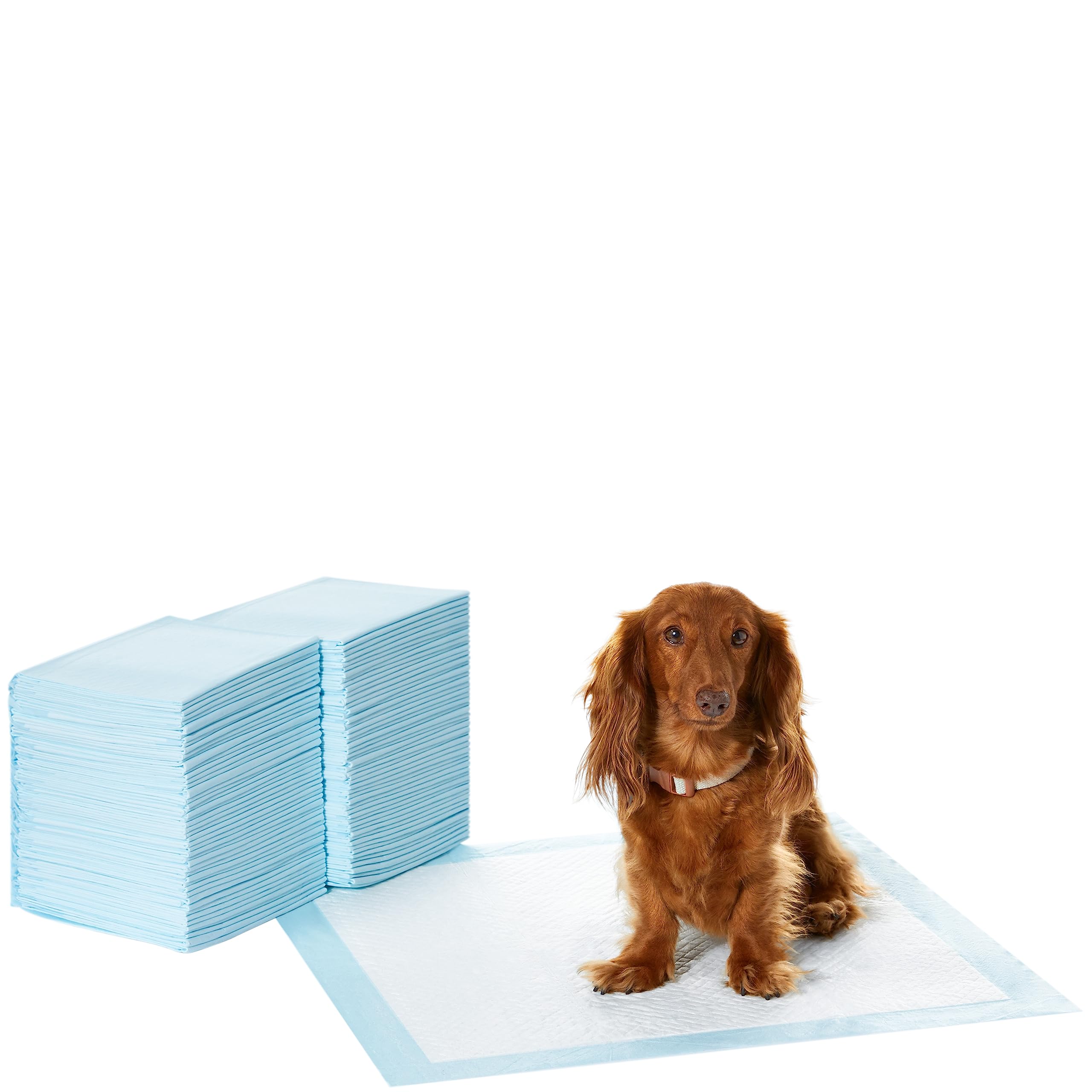 Foto 1 | Almohadillas Para Orinar Amazon Basics Para Perros Y Cachorr - Venta Internacional.