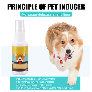 Foto 4 | Spray De Adiestramiento Para Perros Huoguo Puppies, 30 Ml Con Sensor - Venta Internacional.
