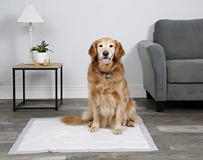 Foto 2 | Almohadillas Para Perros Hartz Home Protection Que Eliminan El Olor A Lavanda - Venta Internacional.