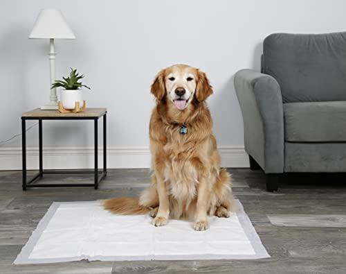 Foto 5 pulgar | Almohadillas Para Perros Hartz Home Protection Que Eliminan El Olor A Lavanda - Venta Internacional.