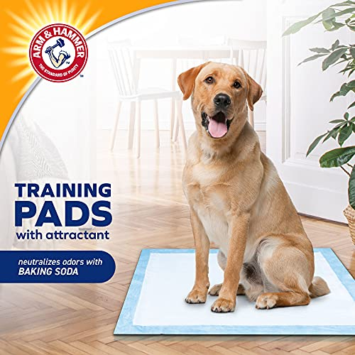 Foto 3 pulgar | Almohadillas De Entrenamiento Arm & Hammer Para Perros Que Se Quedan En Casa, 100 Unidades - Venta Internacional.
