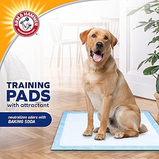 Foto 2 | Almohadillas De Entrenamiento Arm & Hammer Para Perros Que Se Quedan En Casa, 100 Unidades - Venta Internacional.