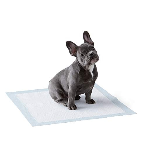 Almohadillas Para Orinar Amazon Basics Para Entrenar A Perros Y Cachorros A Ir Al Baño, 150 Unidades - Venta Interna