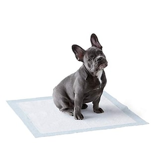 Foto 1 | Almohadillas Para Orinar Amazon Basics Para Entrenar A Perros Y Cachorros A Ir Al Baño, 150 Unidades - Venta Interna