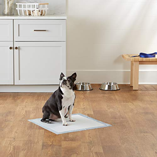 Foto 8 pulgar | Almohadillas Para Orinar Amazon Basics Para Entrenar A Perros Y Cachorros A Ir Al Baño, 150 Unidades - Venta Interna