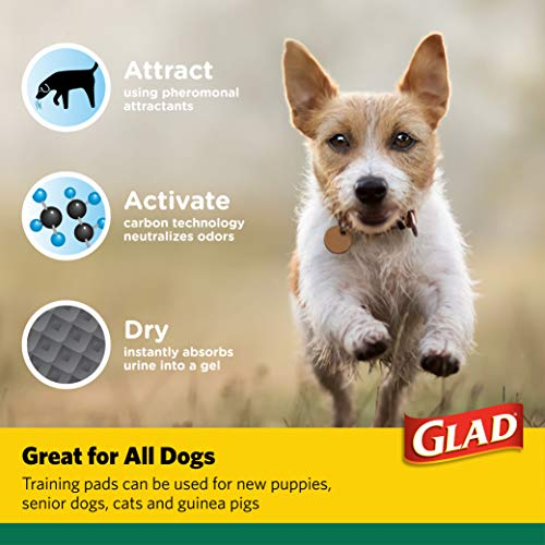 Foto 6 | Almohadillas De Entrenamiento Glad For Pets De Carbón Activado, 24 Unidades - Venta Internacional.
