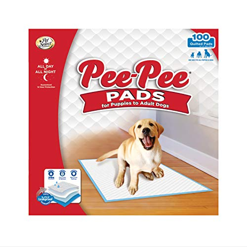 Foto 2 pulgar | Almohadillas De Entrenamiento Para Orinar Con Cuatro Patas Para Cachorros, 100 Unidades - Venta Internacional.
