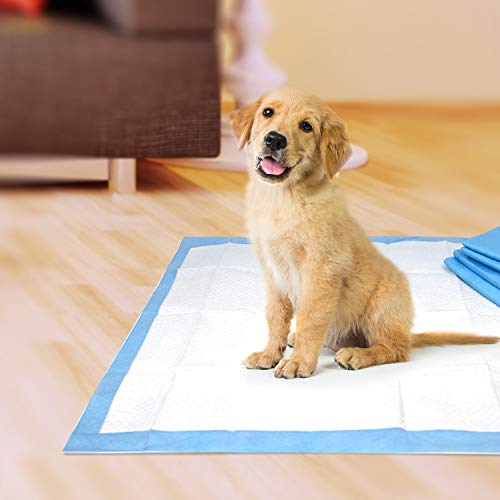 Foto 6 pulgar | Almohadillas De Entrenamiento Para Orinar Con Cuatro Patas Para Cachorros, 100 Unidades - Venta Internacional.