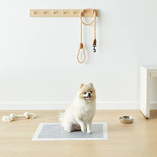 Foto 7 pulgar | Almohadillas De Entrenamiento Amazon Basics Odor-control Carbon Para Perros - Venta Internacional.