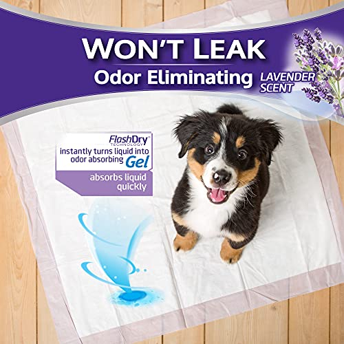 Foto 4 pulgar | Almohadillas Hartz Home Protection Para Perros, Con Aroma A Lavanda, Xxl, 40 Unidades - Venta Internacional.