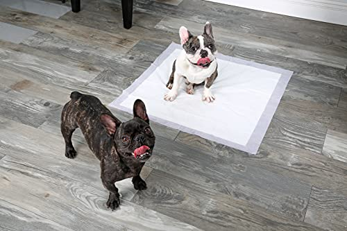 Foto 5 pulgar | Almohadillas Hartz Home Protection Para Perros, Con Aroma A Lavanda, Xxl, 40 Unidades - Venta Internacional.