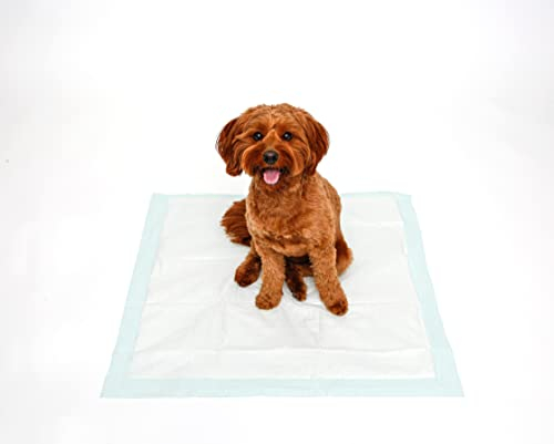 Foto 5 pulgar | Almohadillas Para Perros Hartz Home Protection, Eliminadoras De Olores, Tamaño Xxl, 60 Unidades - Venta Internacional.