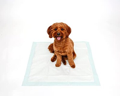 Foto 4 | Almohadillas Para Perros Hartz Home Protection, Eliminadoras De Olores, Tamaño Xxl, 60 Unidades - Venta Internacional.