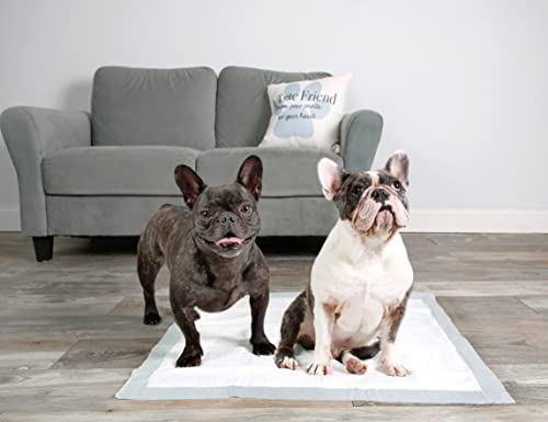 Foto 8 pulgar | Almohadillas Para Perros Hartz Home Protection, Eliminadoras De Olores, Tamaño Xxl, 60 Unidades - Venta Internacional.
