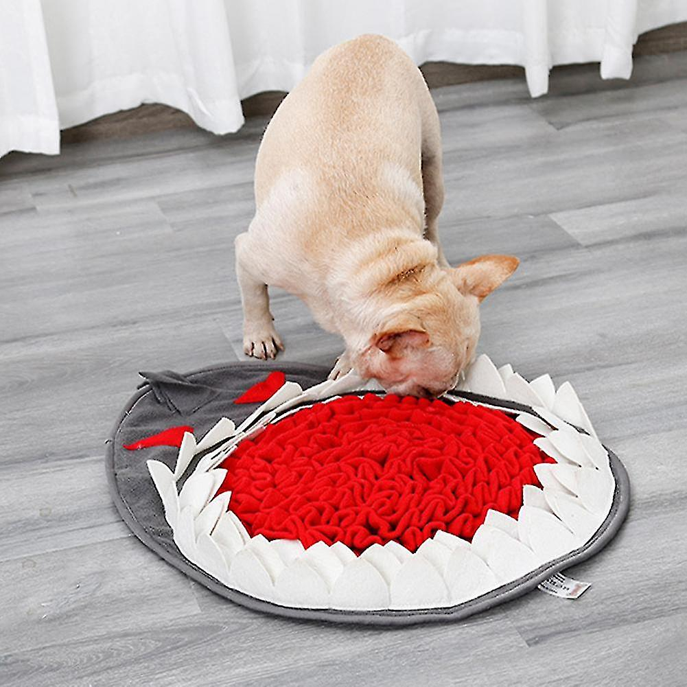 Foto 3 | Alfombrilla De Entrenamiento Para Gatos Que Huelen Tiburones Y Perros - Venta Internacional.