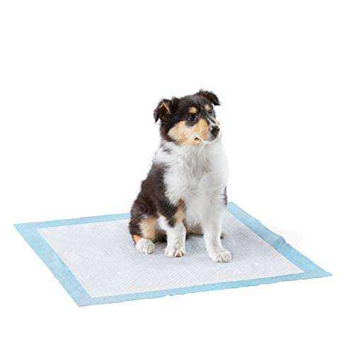 Almohadillas Para Orinar Para Perros Y Cachorros Amazon Basics Heavy Duty, Paquete De 50 - Venta Internacional.