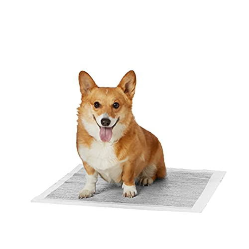 Almohadillas De Entrenamiento Amazon Basics Odor-control Carbon Para Perros 80- - Venta Internacional.