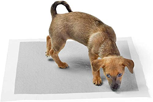 Foto 7 | Almohadillas De Entrenamiento Amazon Basics Odor-control Carbon Para Perros 80- - Venta Internacional.