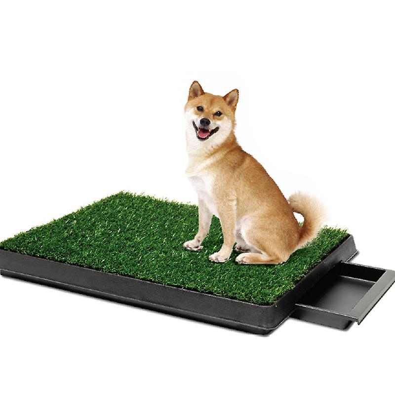 Foto 1 | Inodoro Para Mascotas Sanlin Beans Imitación Césped Para Perros De Tamaño Mediano - Venta Internacional.