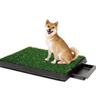 Foto 1 | Inodoro Para Mascotas Sanlin Beans Imitación Césped Para Perros De Tamaño Mediano - Venta Internacional.
