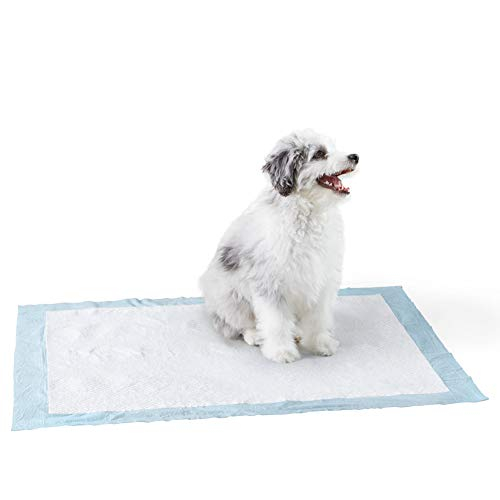 Foto 1 | Almohadillas Para Orinar Para Perros Y Cachorros Amazon Basics, Resistentes, Xl, 50 Unidades - Venta Internacional.