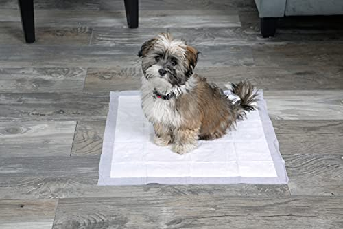 Foto 5 pulgar | Almohadillas Para Perros Hartz Home Protection Que Eliminan Olores, 100 Unidades - Venta Internacional.