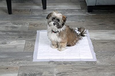 Foto 4 | Almohadillas Para Perros Hartz Home Protection Que Eliminan Olores, 100 Unidades - Venta Internacional.