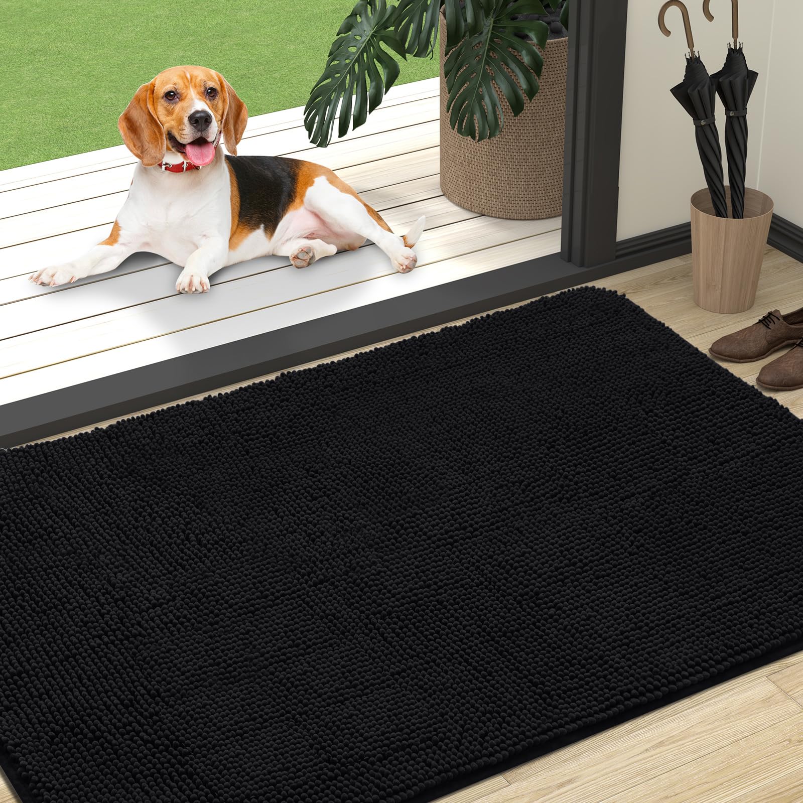 Felpudo Para Perros Olanly, Absorbente, Antideslizante, Lavable, 54 X 32 Cm - Venta Internacional.