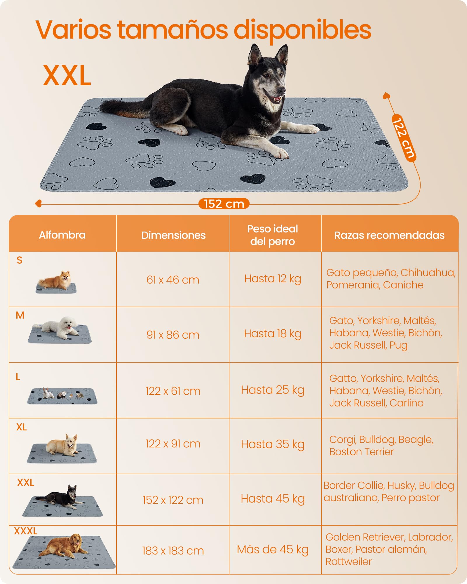 Foto 6 pulgar | Alfombrillas Lavables Para Perros Feandrea Mptd048g01, 152 X 122 Cm, Gris, 2 Unidades
