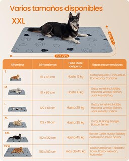 Foto 5 | Alfombrillas Lavables Para Perros Feandrea Mptd048g01, 152 X 122 Cm, Gris, 2 Unidades