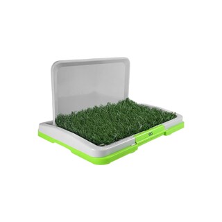 Foto 1 | Mini Tapete Entrenador Perro Eo Safe Imports Esi-18858 Verde