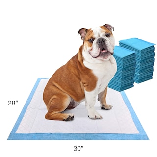Foto 7 | Pee Pads Four Paws Wee-wee, Antiolores, Para Perros, 22 X 23 Cm, 50 Unidades - Venta Internacional.