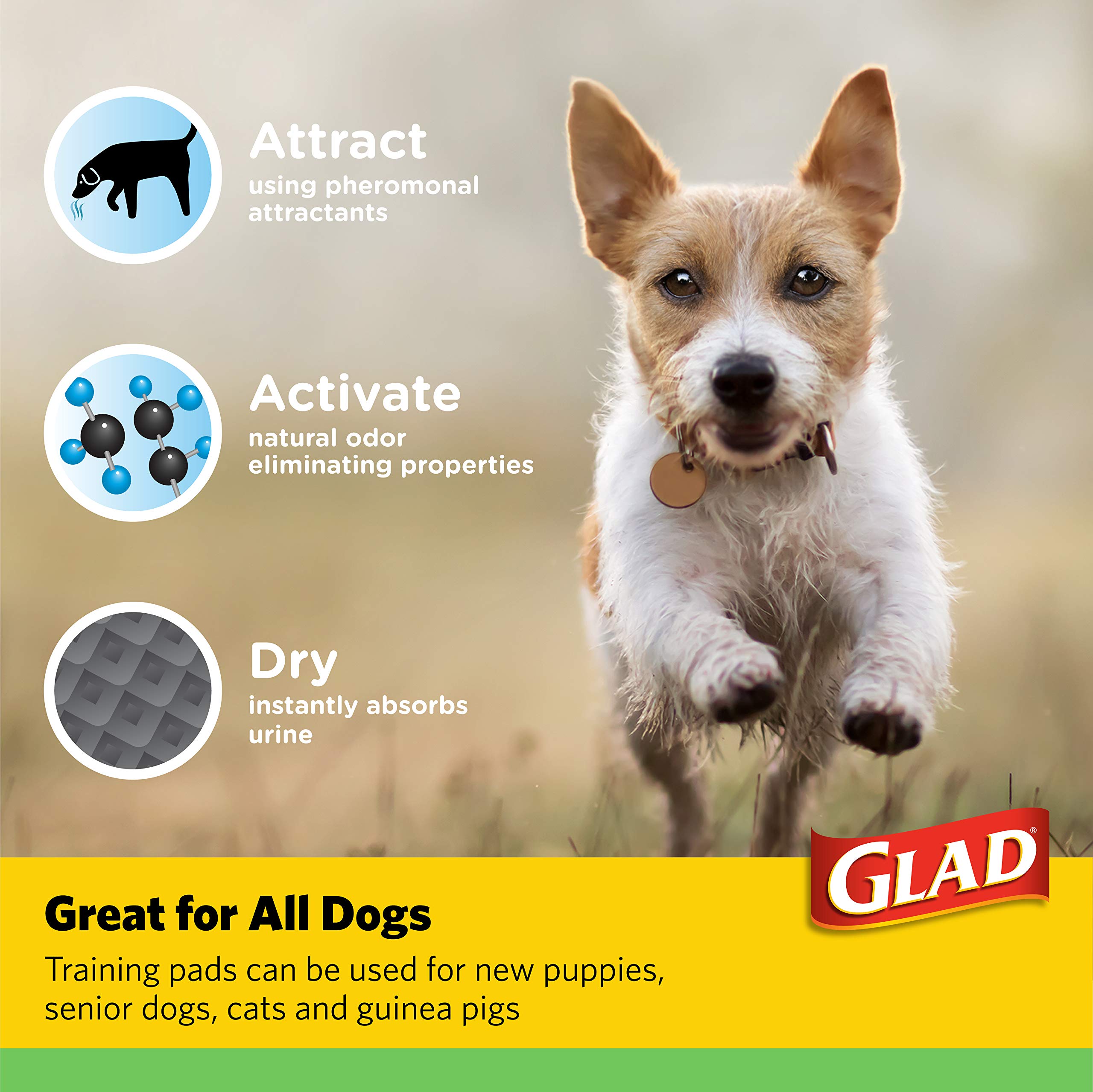 Foto 7 pulgar | Almohadillas De Entrenamiento Glad For Pets Earth Friendly Bamboo 85 Unidades - Venta Internacional.